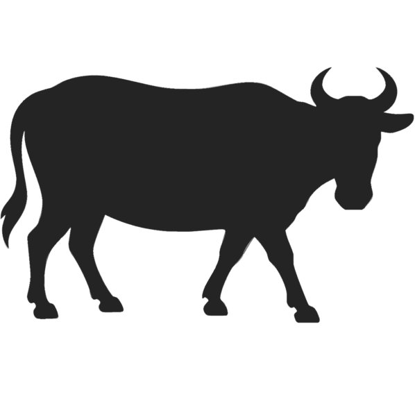 Cattle Feed Supplement