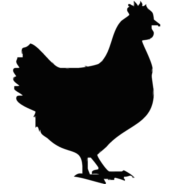 Chicken Feed Supplement