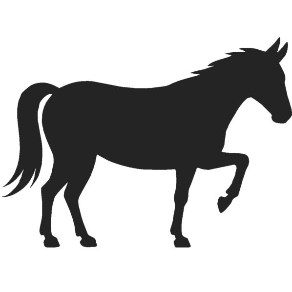 Horse Feed Supplement